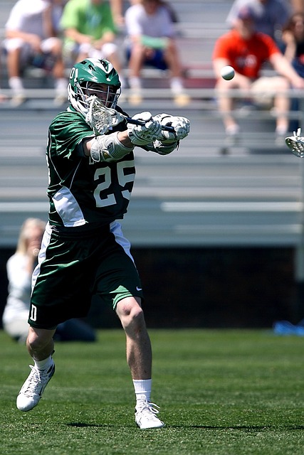 拉涅利的管 拉涅利的管