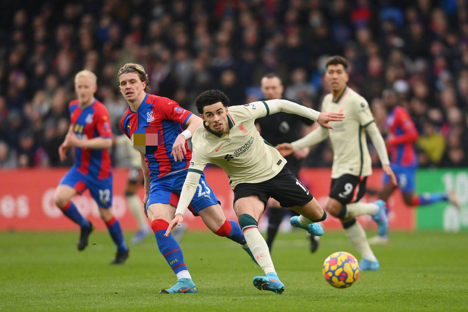 为何合理 为何合理